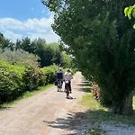 Trasimeno 营地 *