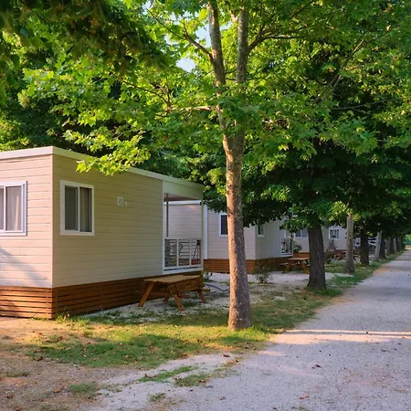 Trasimeno Passignano sul Trasimeno