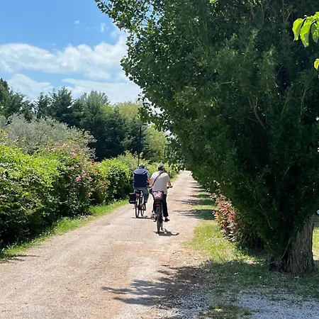 Trasimeno Campingplads *