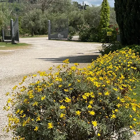Trasimeno Campingplads *