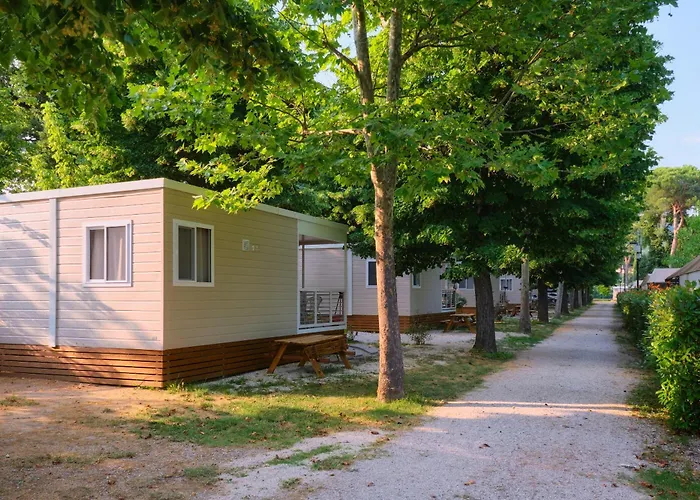 Trasimeno 特拉西梅诺湖畔帕西尼亚诺