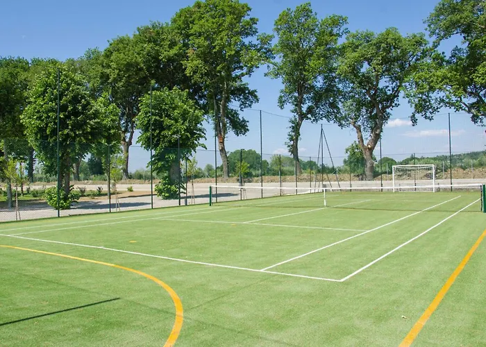 Trasimeno * 特拉西梅诺湖畔帕西尼亚诺