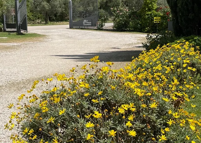 Trasimeno Κάμπινγκ *